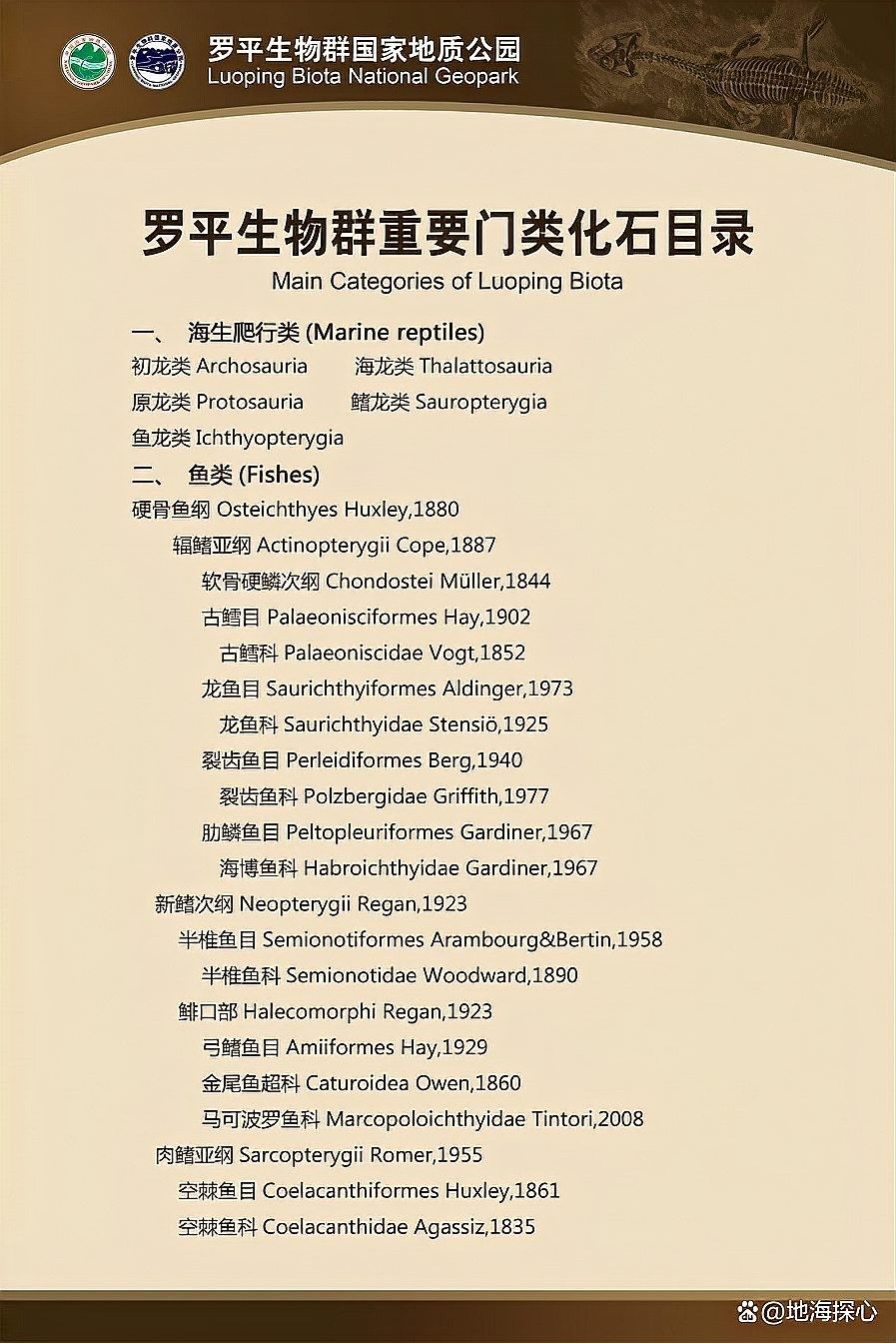 龍魚化石圖片大全大圖視頻