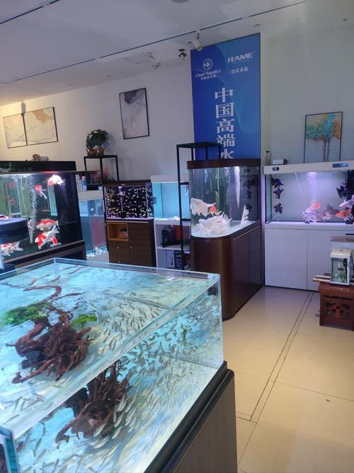 廣州百藝城祥龍魚場e205檔口怎么樣