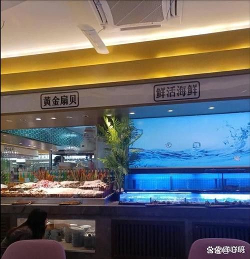 廣州百藝城祥龍魚場e205檔口怎么樣