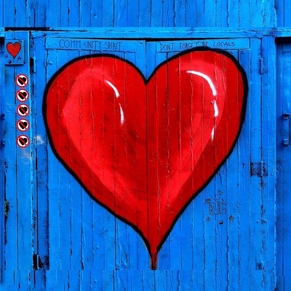 金龍魚10大品種