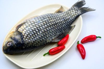 龍魚能吃嗎怎么做法：龍魚可以作為食用嗎？