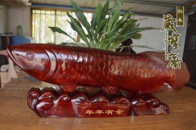 紅龍魚配什么魚招財（紅龍魚配什么魚好） 紅龍魚配什么魚招財（紅龍魚配什么魚好） 龍魚百科 第4張