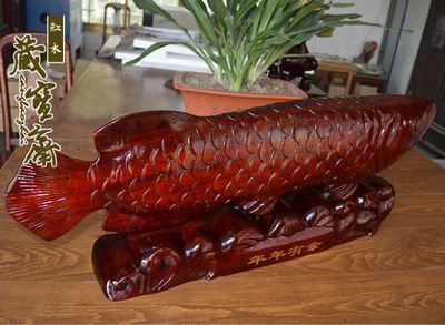 紅龍魚配什么魚招財（紅龍魚配什么魚好） 紅龍魚配什么魚招財（紅龍魚配什么魚好） 龍魚百科 第7張