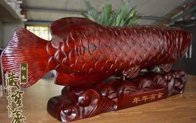 紅龍魚配什么魚招財（紅龍魚配什么魚好） 紅龍魚配什么魚招財（紅龍魚配什么魚好） 龍魚百科 第6張