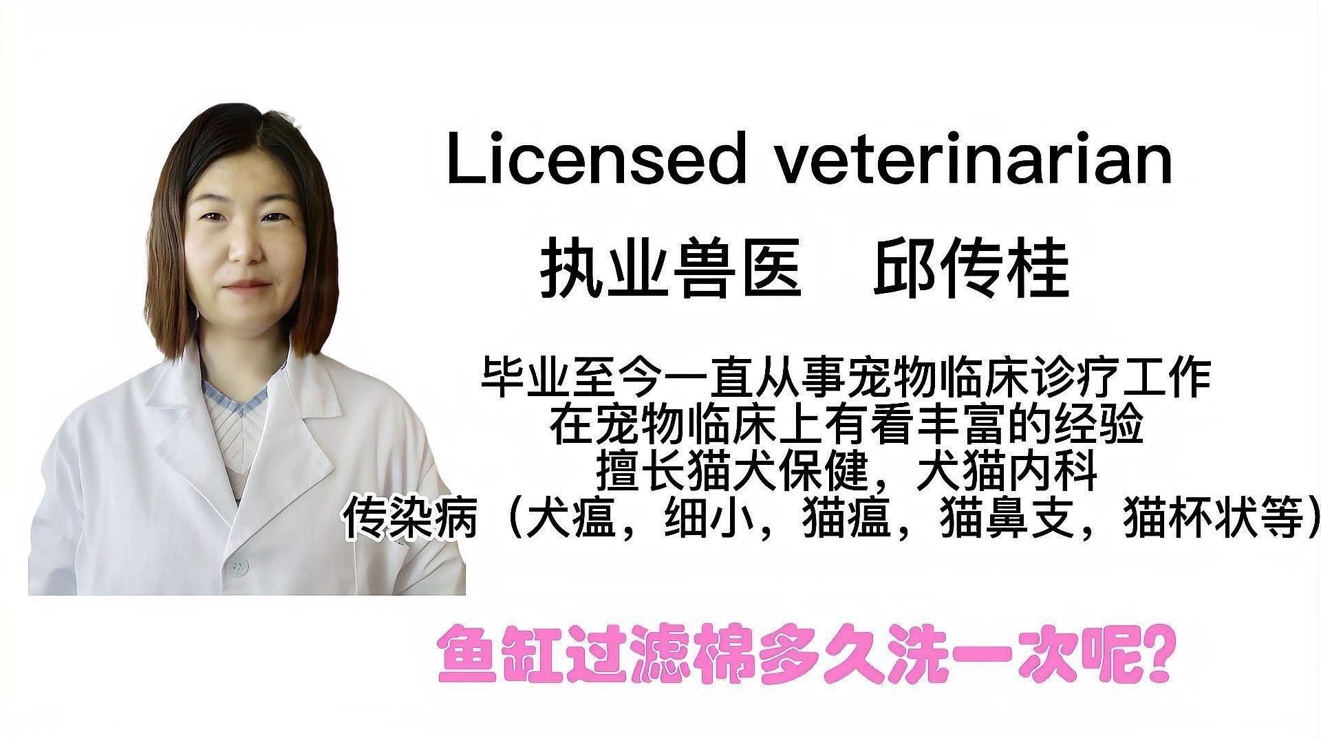 龍魚缸過濾棉多久用原水洗一次？