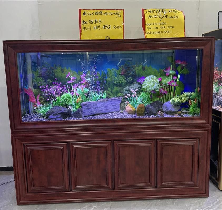 給我一張龍魚風水布局實例圖