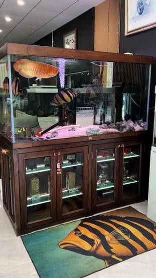 給我一張龍魚風水布局實例圖