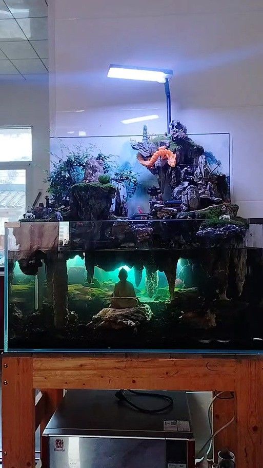 給我一張龍魚風水布局實例圖