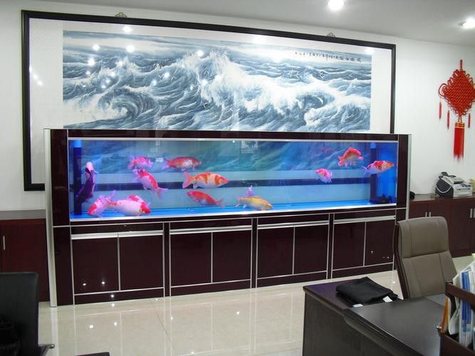 給我一張龍魚風水布局實例圖