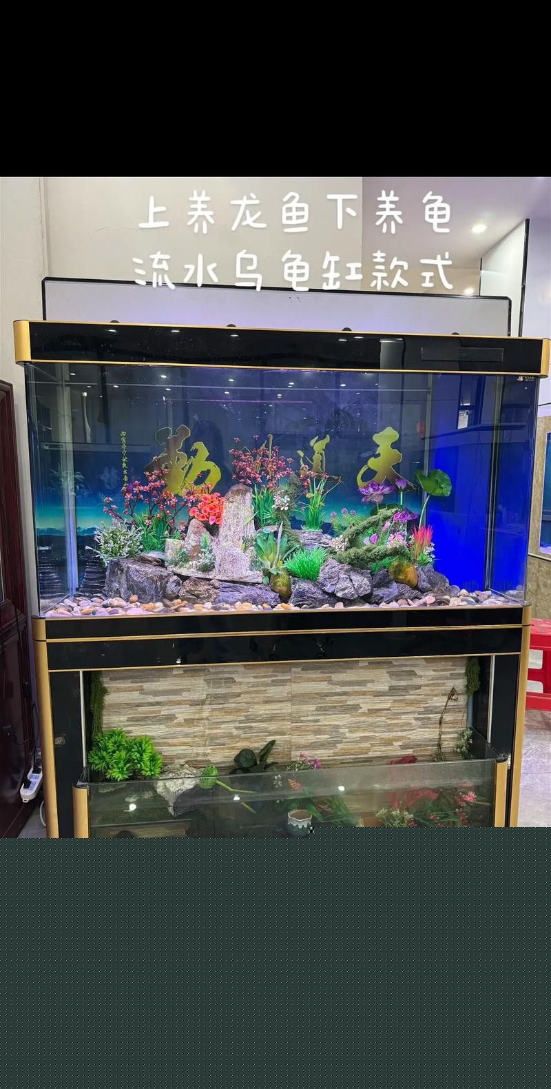 給我一張龍魚風水布局實例圖