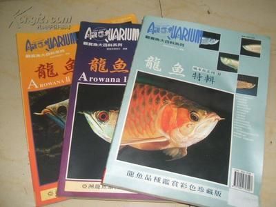 《觀賞魚養殖與鑒賞系列龍魚》百度云網盤下載地址:《觀賞魚養殖與鑒賞系列龍魚》電子書下載 龍魚百科 第2張 《觀賞魚養殖與鑒賞系列龍魚》百度云網盤下載地址:《觀賞魚養殖與鑒賞系列龍魚》電子書下載 《觀賞魚養殖與鑒賞系列龍魚》百度云網盤下載地址:《觀賞魚養殖與鑒賞系列龍魚》電子書下載 龍魚百科 第2張