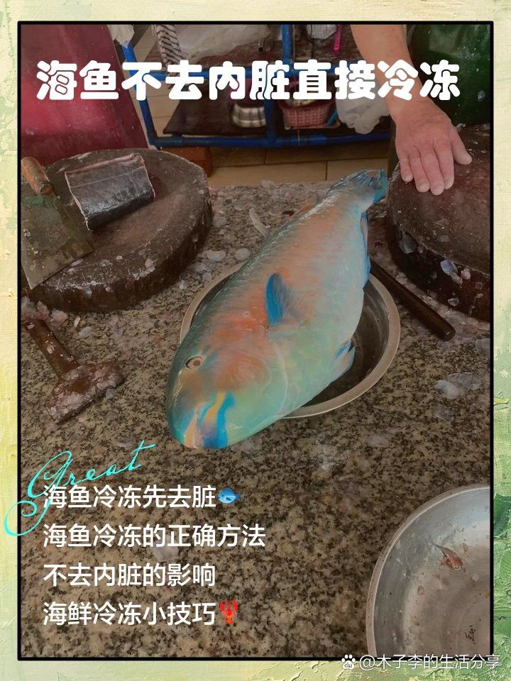 如何保存海龍魚以保持其新鮮度？
