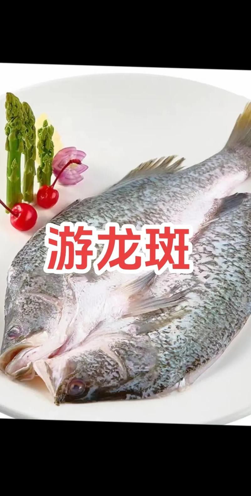 游龍魚是海魚嗎圖片