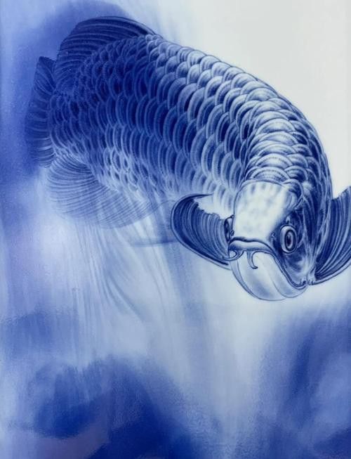 游龍魚是海魚嗎圖片
