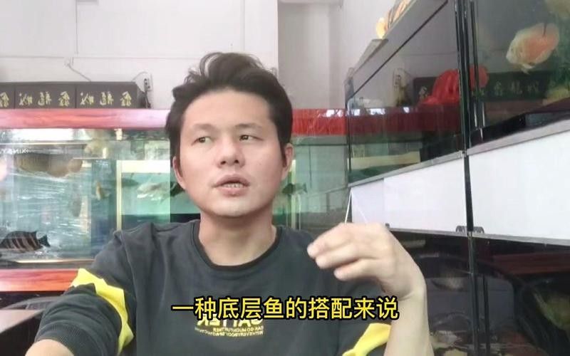 鴨嘴鯊能和金龍魚一起養嗎圖片視頻 鴨嘴鯊能和金龍魚一起養嗎圖片視頻 龍魚百科 第1張