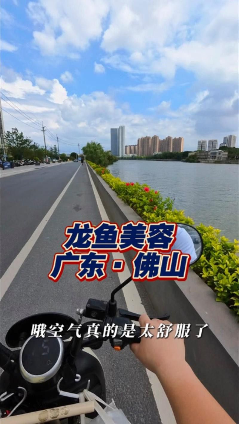 有哪些機構提供龍魚手術治療？ 有哪些機構提供龍魚手術治療？ 龍魚百科 第6張