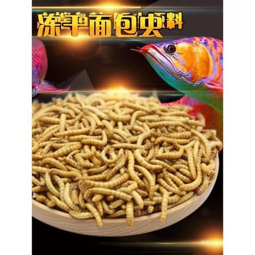 推薦一些適合藍底過背的凍干飼料