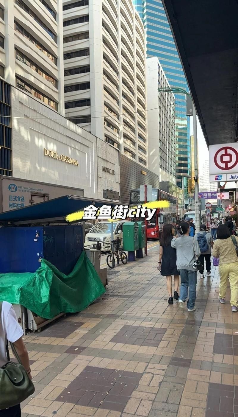 哪有便宜賣豬鼻龜?shù)? title=