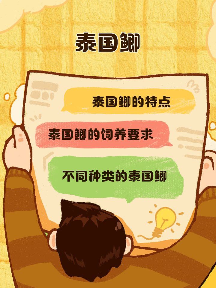 泰國鯽可以和龍魚一起養嗎