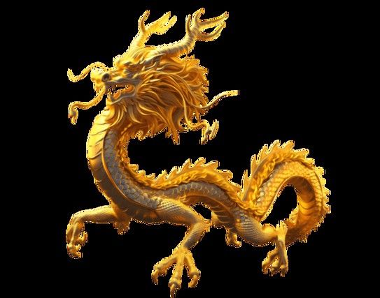 推薦一些高清的龍圖素材 龍魚百科 第13張 推薦一些高清的龍圖素材 推薦一些高清的龍圖素材 龍魚百科 第13張