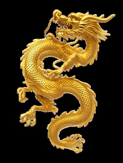 推薦一些高清的龍圖素材 龍魚百科 第18張 推薦一些高清的龍圖素材 推薦一些高清的龍圖素材 龍魚百科 第18張
