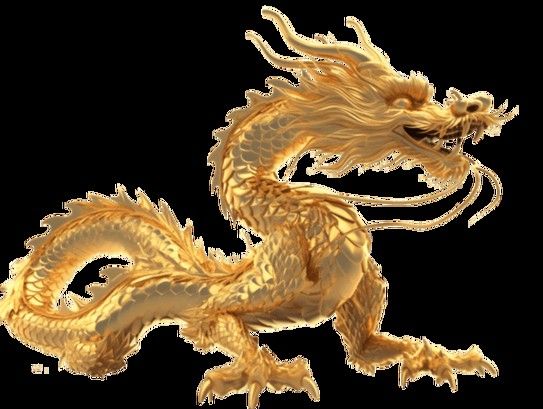 推薦一些高清的龍圖素材 龍魚百科 第20張 推薦一些高清的龍圖素材 推薦一些高清的龍圖素材 龍魚百科 第20張