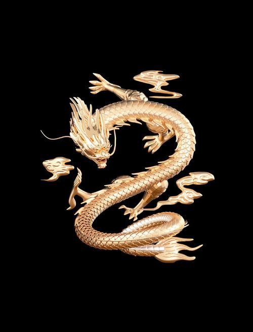 推薦一些高清的龍圖素材 龍魚百科 第25張 推薦一些高清的龍圖素材 推薦一些高清的龍圖素材 龍魚百科 第25張