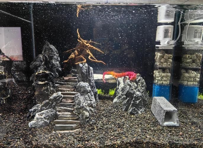 龍魚缸石頭造景圖片大全欣賞