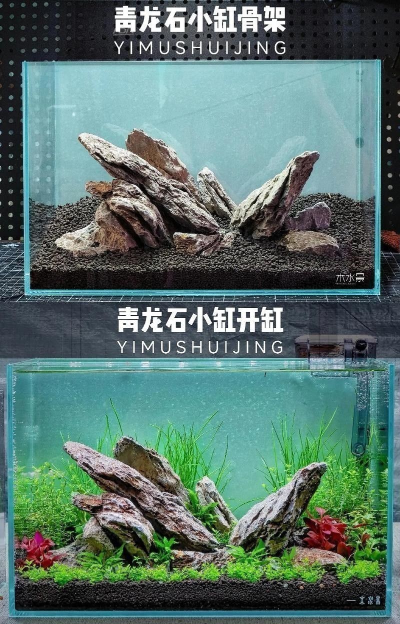 龍魚缸石頭造景圖片大全欣賞