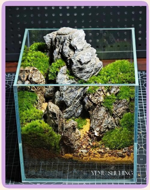 龍魚缸石頭造景圖片大全欣賞