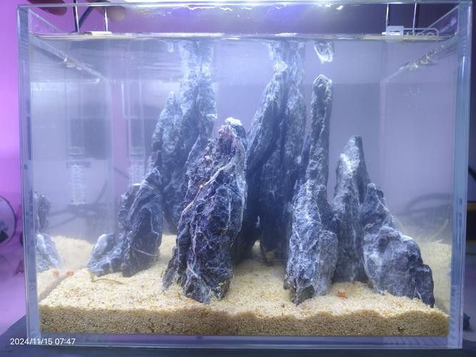 龍魚缸石頭造景圖片大全欣賞