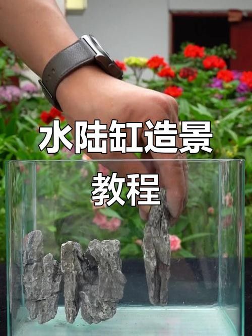 龍魚缸石頭造景圖片大全欣賞