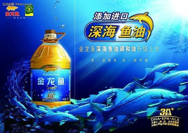 金龍魚科技海報(bào)：金龍魚科技海報(bào)可以從多方面展現(xiàn)該企業(yè)在科技領(lǐng)域的投入和成就