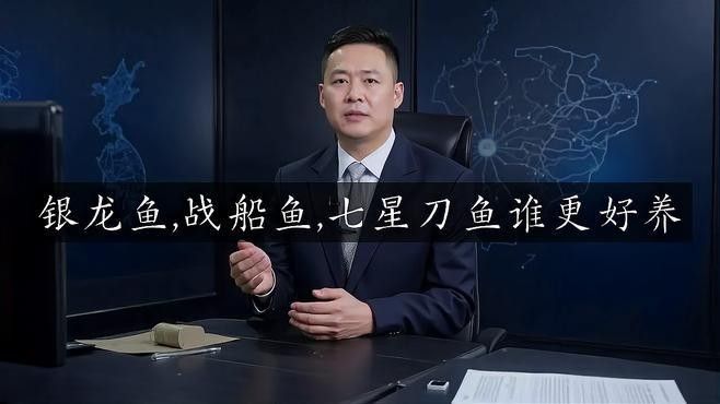 龍魚和戰船哪個好養一點