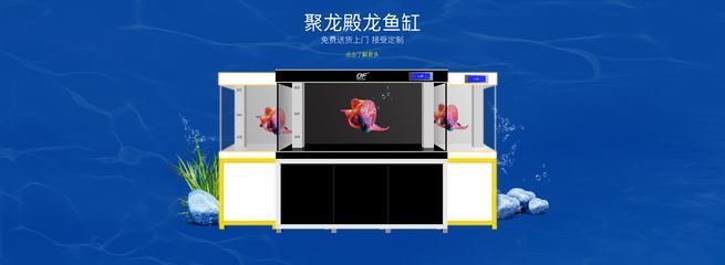 龍魚(yú)商城網(wǎng)站登錄入口：龍魚(yú)商城優(yōu)惠活動(dòng)技巧分享龍魚(yú)飼養(yǎng)技巧分享 龍魚(yú)商城網(wǎng)站登錄入口：龍魚(yú)商城優(yōu)惠活動(dòng)技巧分享龍魚(yú)飼養(yǎng)技巧分享 龍魚(yú)百科 第4張