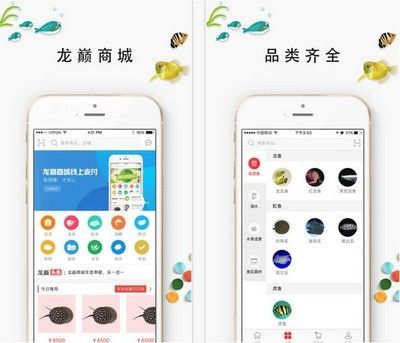 龍魚(yú)商城網(wǎng)站登錄入口：龍魚(yú)商城優(yōu)惠活動(dòng)技巧分享龍魚(yú)飼養(yǎng)技巧分享 龍魚(yú)商城網(wǎng)站登錄入口：龍魚(yú)商城優(yōu)惠活動(dòng)技巧分享龍魚(yú)飼養(yǎng)技巧分享 龍魚(yú)百科 第5張