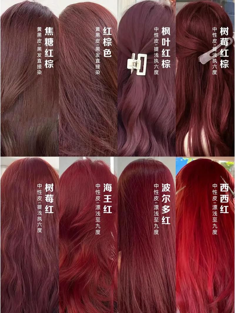 紅龍染發劑的價格范圍是多少？