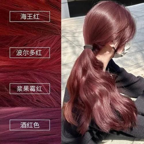 紅龍染發劑的價格范圍是多少？