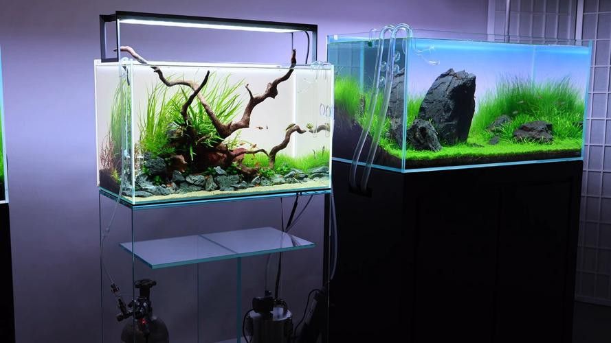 哪個品牌的魚缸造景效果最好？