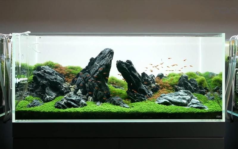 哪個品牌的魚缸造景效果最好？