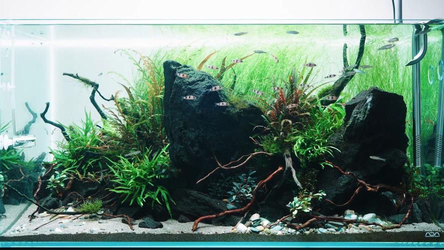 哪個品牌的魚缸造景效果最好？