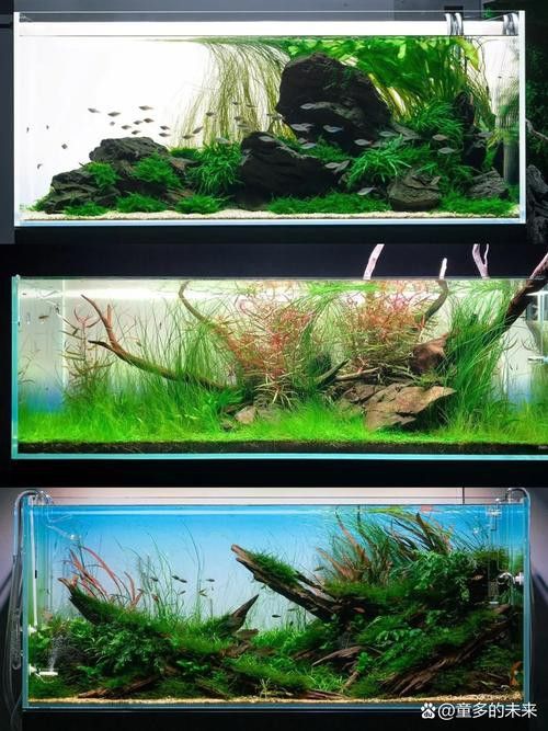 哪個品牌的魚缸造景效果最好？