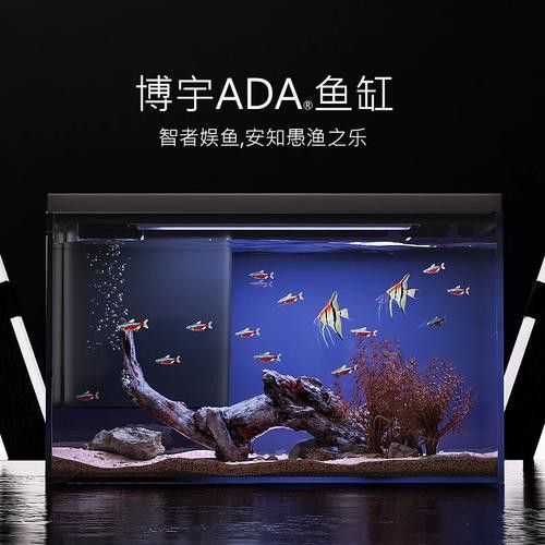 哪個品牌的魚缸造景效果最好？