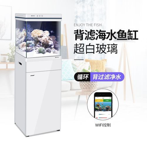 哪個品牌的魚缸造景效果最好？