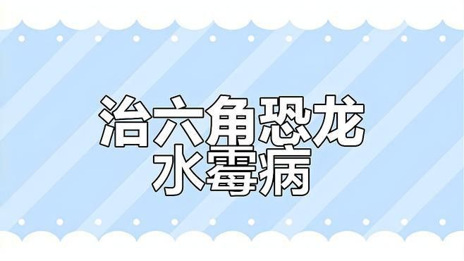 如何判斷六角龍是否患有水霉病？ 如何判斷六角龍是否患有水霉??？ 龍魚百科 第3張