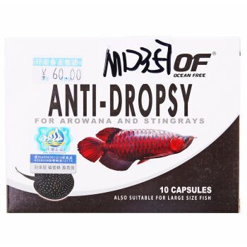 龍魚用哪個牌子的藥效果好（龍魚專用藥品牌sera龍魚專用藥使用方法）
