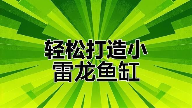 雷龍魚缸造景用什么石頭最好看