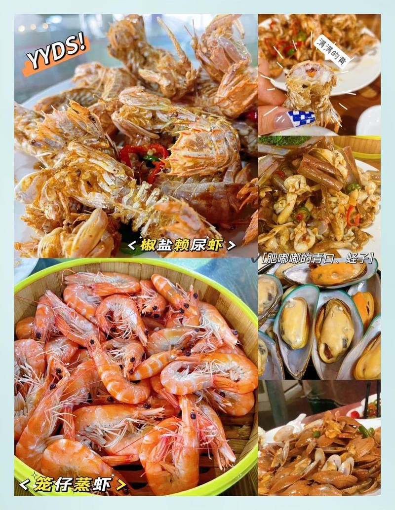 江門龍魚批發市場在哪兒啊多少錢