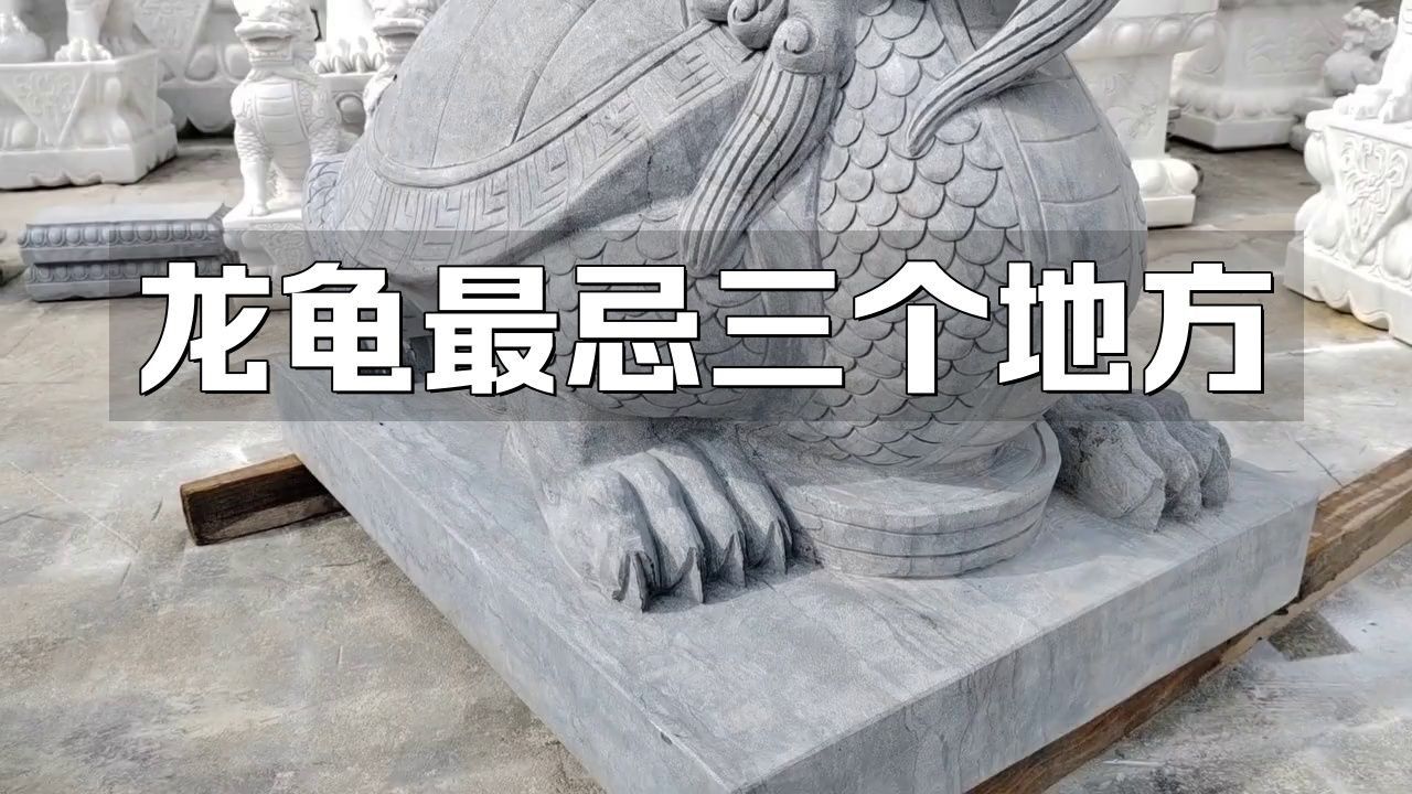 龍龜擺件放入魚缸有哪些禁忌