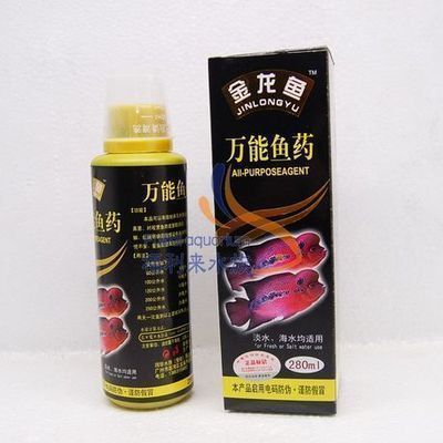 龍魚白點病癥狀：金龍魚得了白點病怎么辦